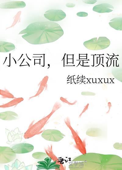 小公司和大公司的爱豆