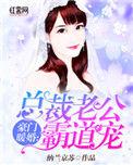 豪门暖婚总裁老公霸道宠免费