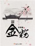 金粉全文阅读