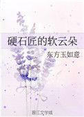 硬石匠的软云朵h