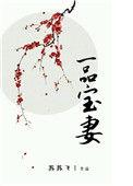 一品宝安装