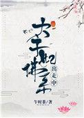 太子妃佛系出走 百度