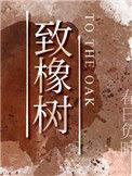 致橡树作者舒婷简介