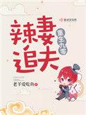 重生九零辣妻追夫提雅