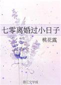 七零离婚过小日子 作者桃花露