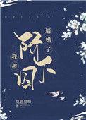 我被囚禁了全集免费阅读