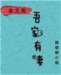 娘子在下有眼无珠全文免费阅读
