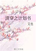 清穿之计划书作者艾也