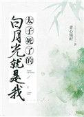 太子的白月光