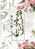 卸甲后我待字闺中在线
