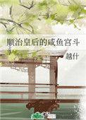 顺治皇后的咸鱼宫斗讲的是什么