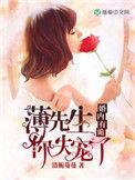 婚内有轨薄先生你失宠了免费阅读