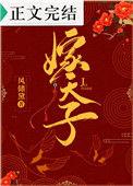 替嫁天子晋江