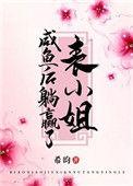 表小姐不装了全文免费阅读