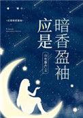 应是暗香盈袖TXT