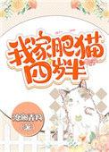 我家肥猫四岁半盘搜搜