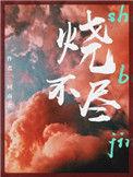 烧不尽TXT