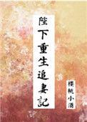 陛下重生追妻记格格党