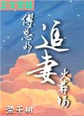 傅总的追妻火葬场里林恩筱