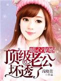 暖心宠婚顶级老公坏透了 作者浅晓萱