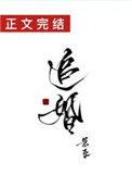 追婚是什么意思