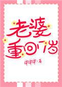 我老婆重回17岁
