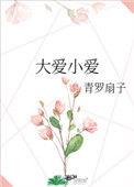 大爱小爱台词