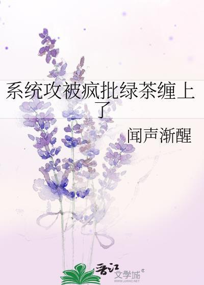 系统攻受