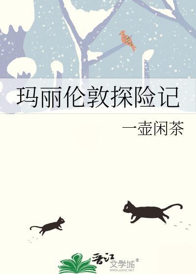 玛丽冒险