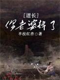 你老婆掉了免费