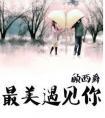 最美遇见你的简介