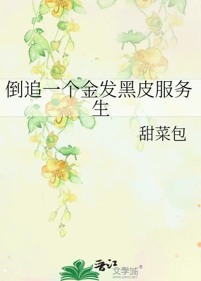 倒追一个金发黑皮公安txt