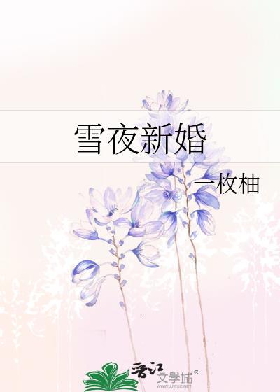 雪夜新婚txt笔趣阁