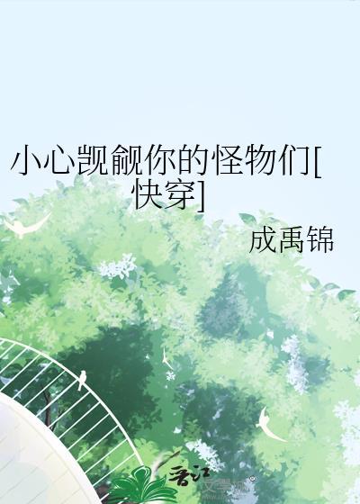 小心txl