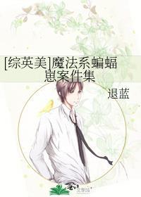 综英美魔法系蝙蝠崽案件集txt