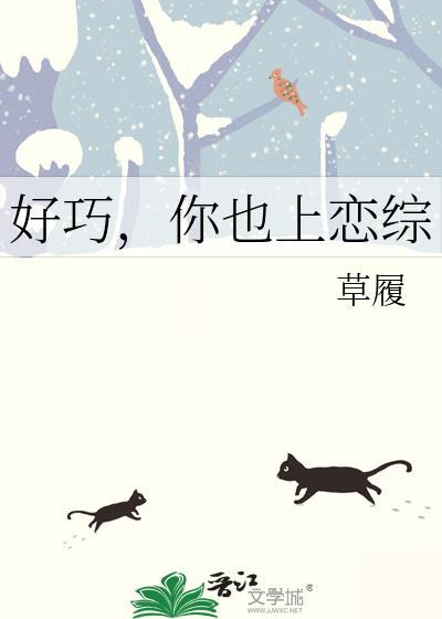 好巧你也上恋综晋江