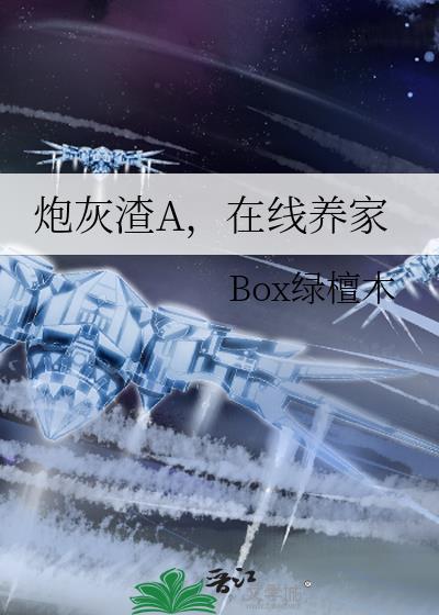 炮灰管
