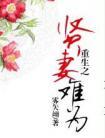 重生之贤妻难为TXT书包网