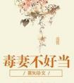 毒妻不好当书包网