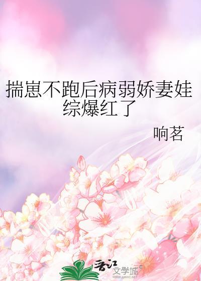揣崽就不能