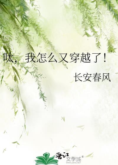 我怎么又穿越了TXT
