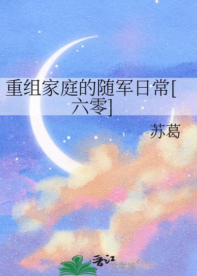 重组家庭txt阅读