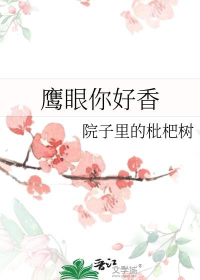 鹰眼剧情