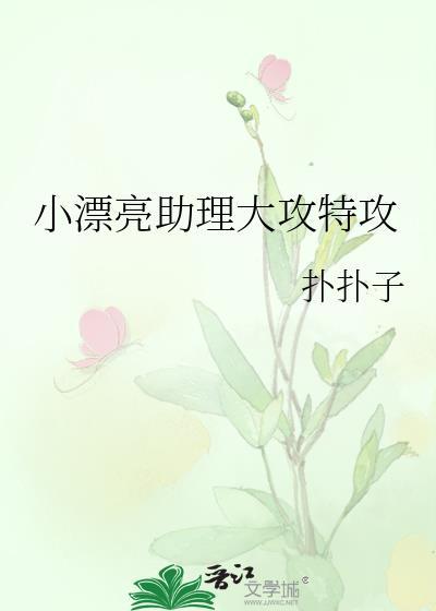 小漂亮助理大攻特攻文
