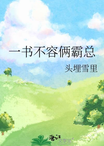 一书不容俩霸总书评