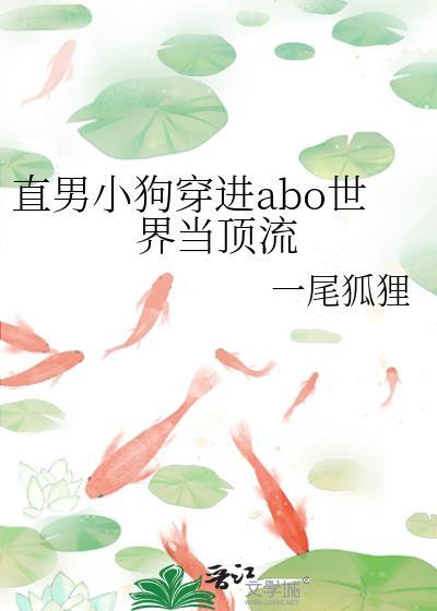 直男穿到言情文