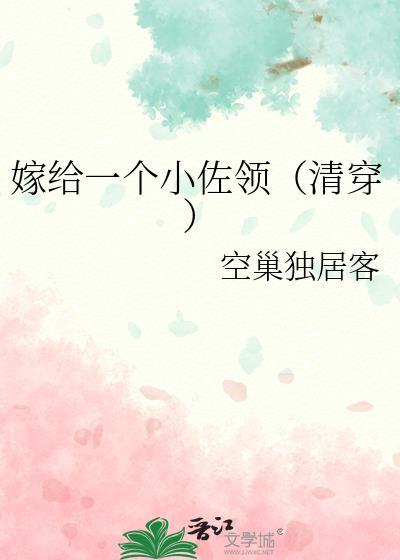 嫁给一个小佐领(清穿)无防盗