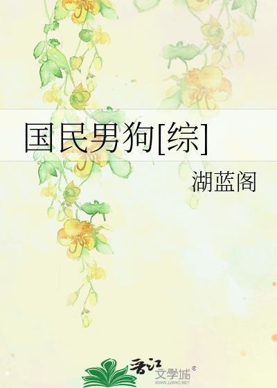 国民男狗2k