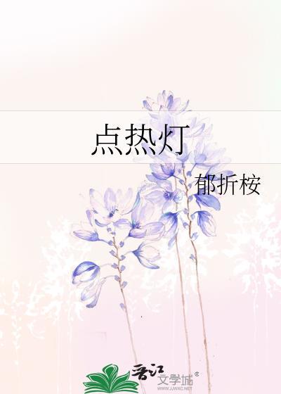 点热灯txt资源