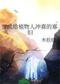 穿成给植物人冲喜的寡妇木妖娆陆
